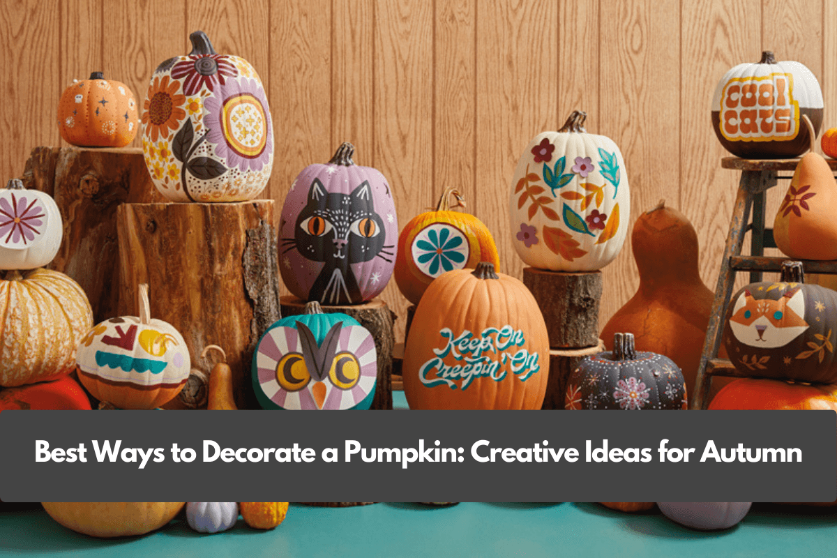 Best Ways to Decorate a Pumpkin: Creative Ideas for Autumn