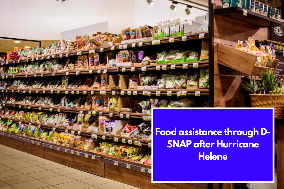 Food assistance through D-SNAP after Hurricane Helene