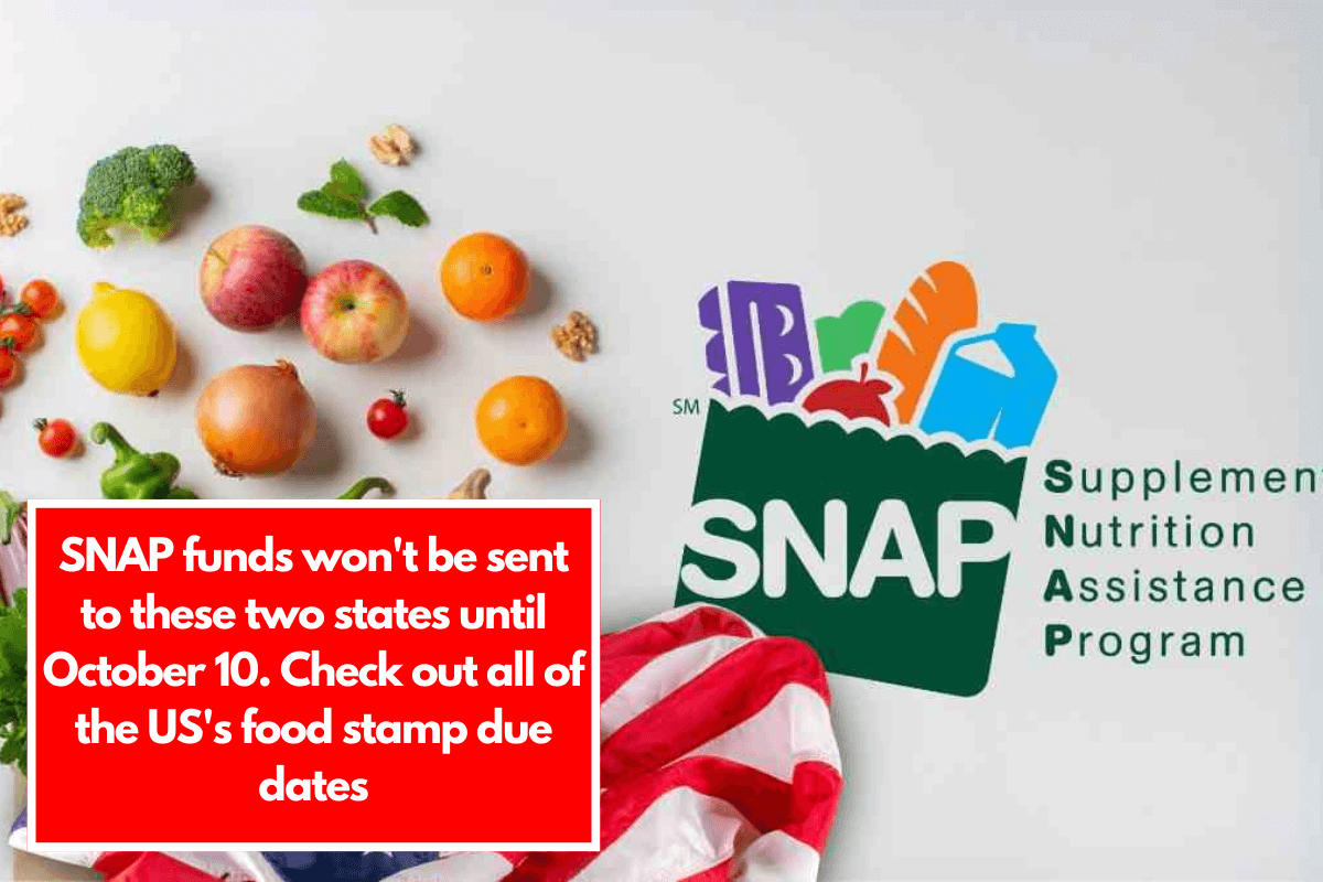 SNAP funds won't be sent to these two states until October 10. Check out all of the US's food stamp due dates