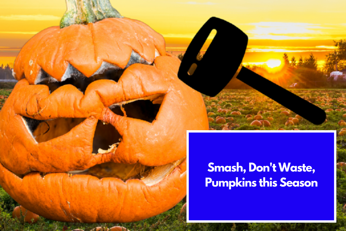 Smash, Don't Waste, Pumpkins this Season