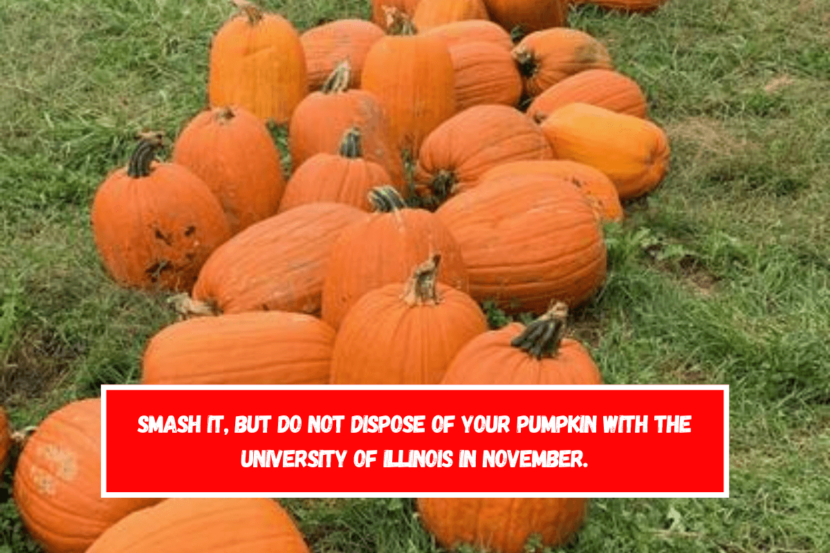 Smash it, but do not dispose of your pumpkin with the University of Illinois in November.