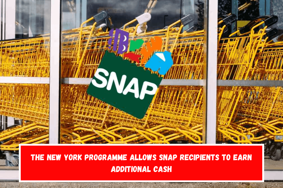 The New York Programme Allows SNAP Recipients to Earn Additional Cash