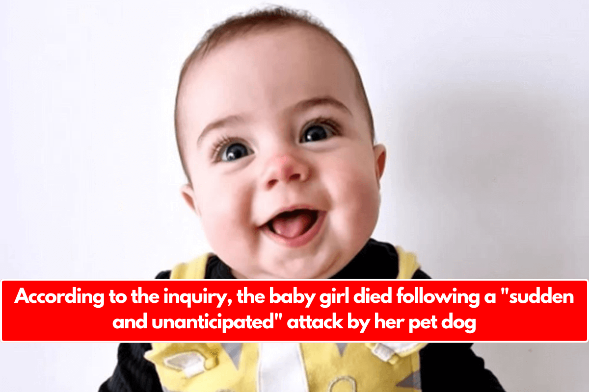 According to the inquiry, the baby girl died following a "sudden and unanticipated" attack by her pet dog