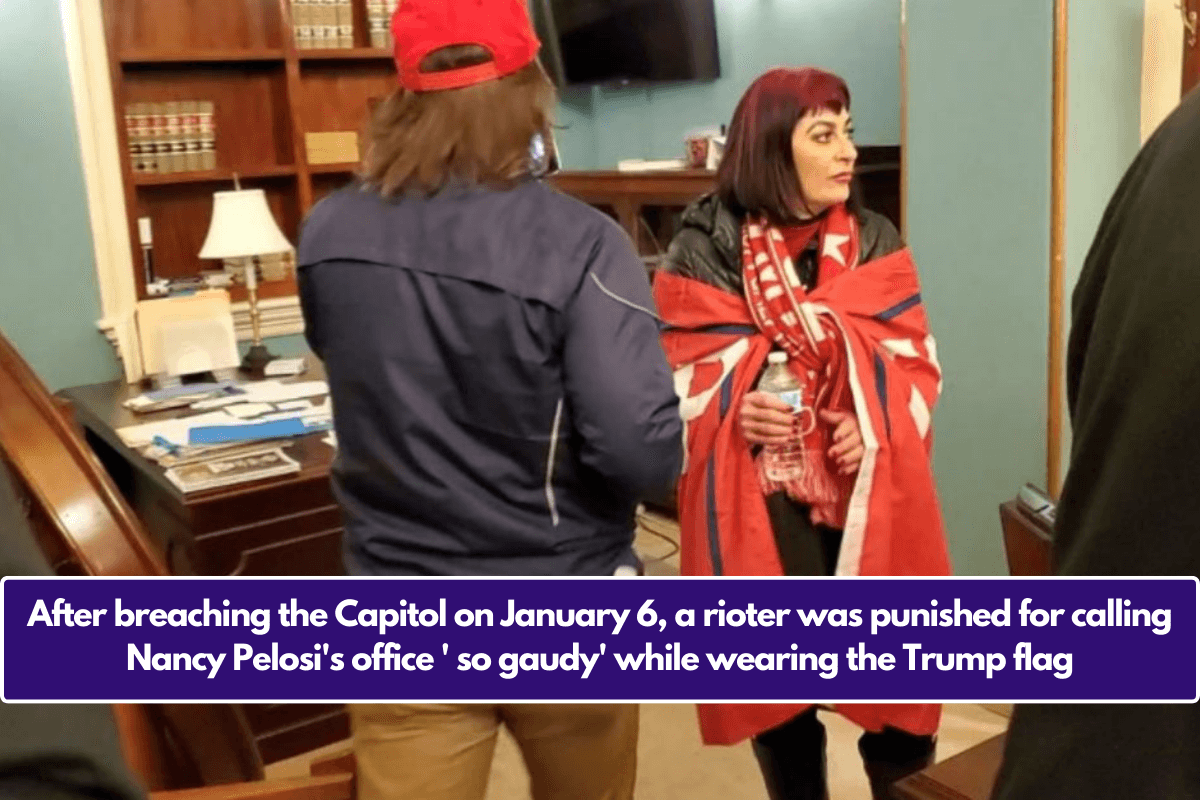 After breaching the Capitol on January 6, a rioter was punished for calling Nancy Pelosi's office ' so gaudy' while wearing the Trump flag