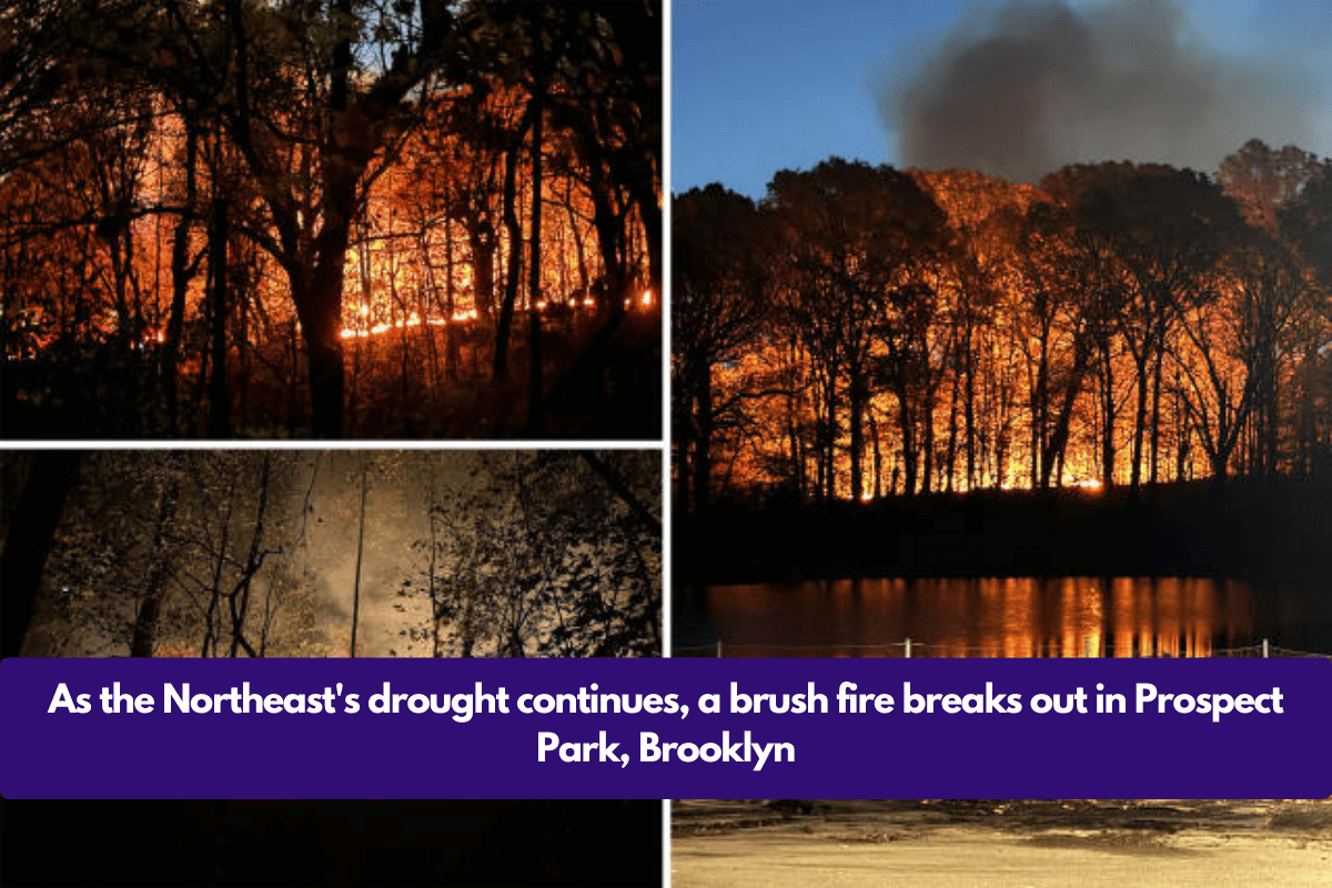 As the Northeast's drought continues, a brush fire breaks out in Prospect Park, Brooklyn