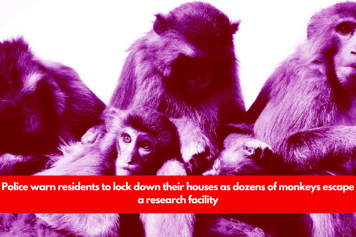 Police warn residents to lock down their houses as dozens of monkeys escape a research facility