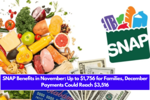 SNAP Benefits in November: Up to $1,756 for Families, December Payments Could Reach $3,516