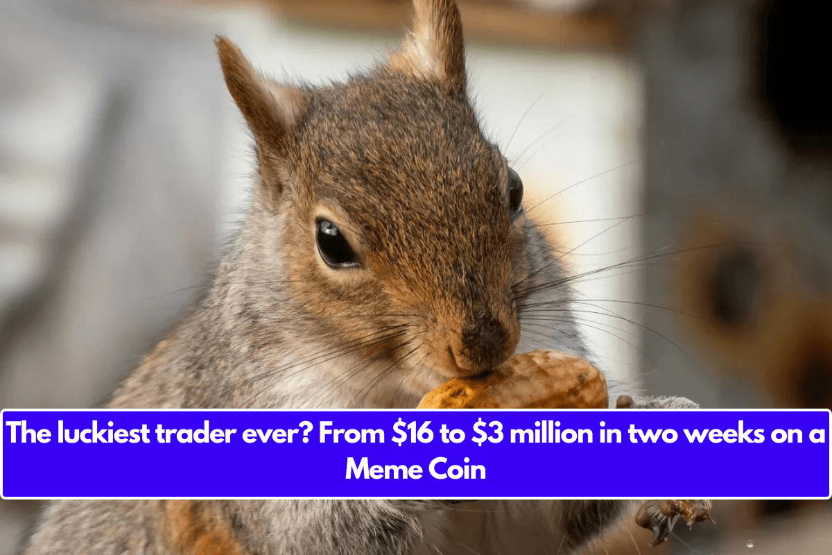 The luckiest trader ever? From $16 to $3 million in two weeks on a Meme Coin