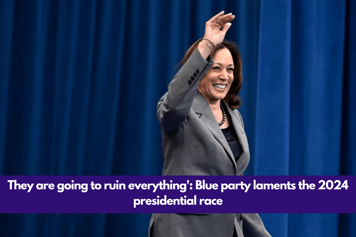 They are going to ruin everything': Blue party laments the 2024 presidential race