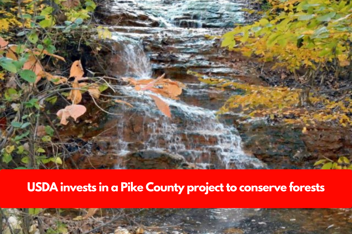 USDA invests in a Pike County project to conserve forests