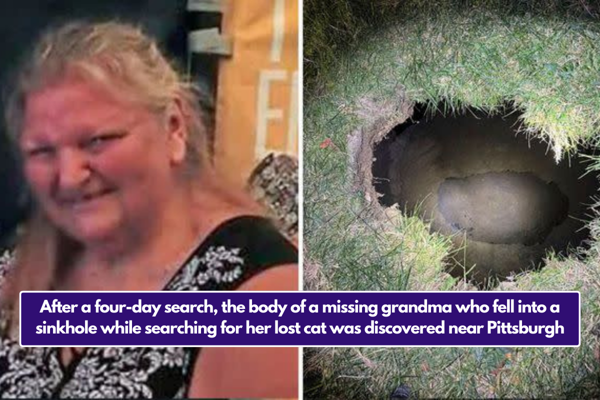 After A Four-day Search, The Body Of A Missing Grandma Who Fell Into A ...