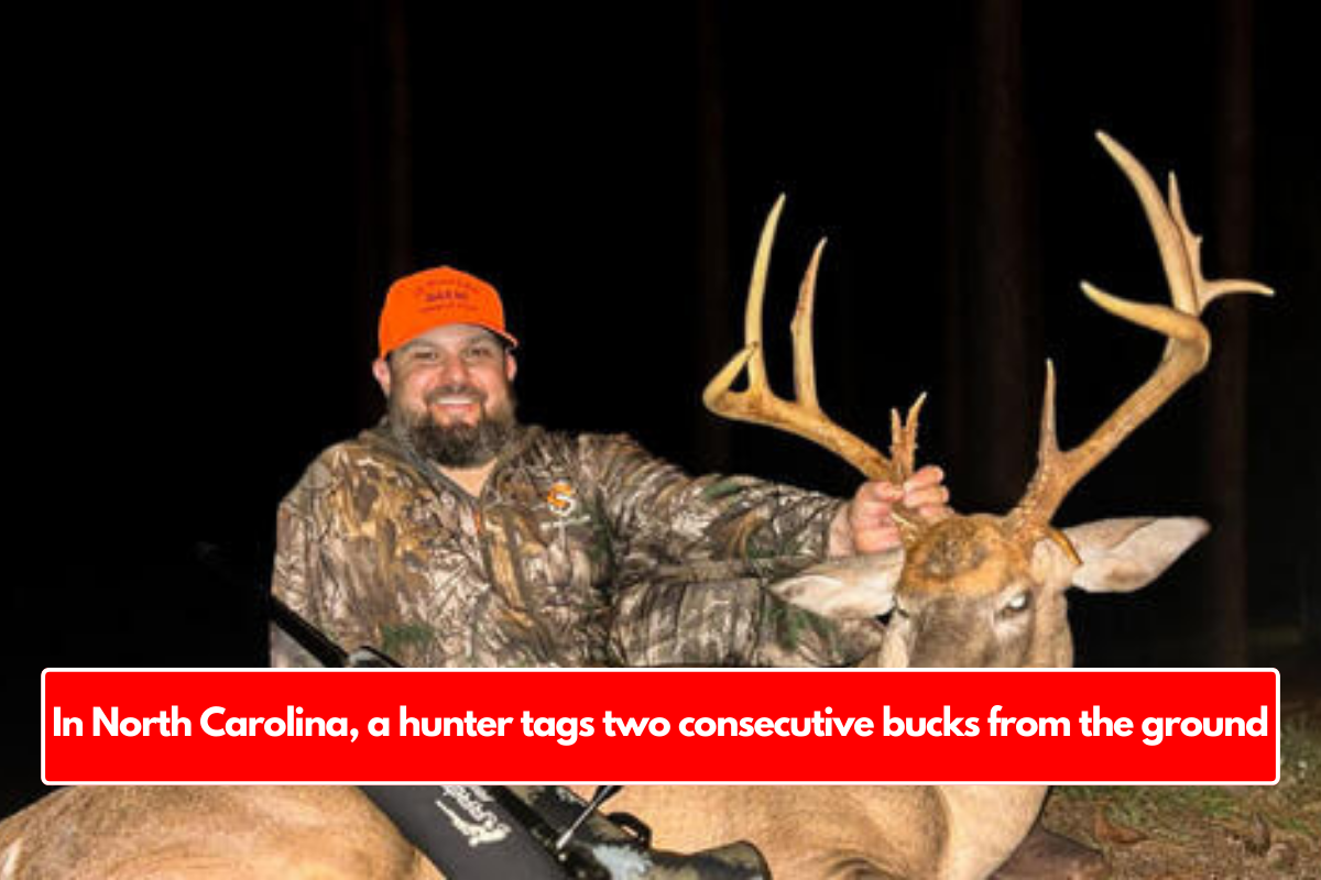 In North Carolina, a hunter tags two consecutive bucks from the ground