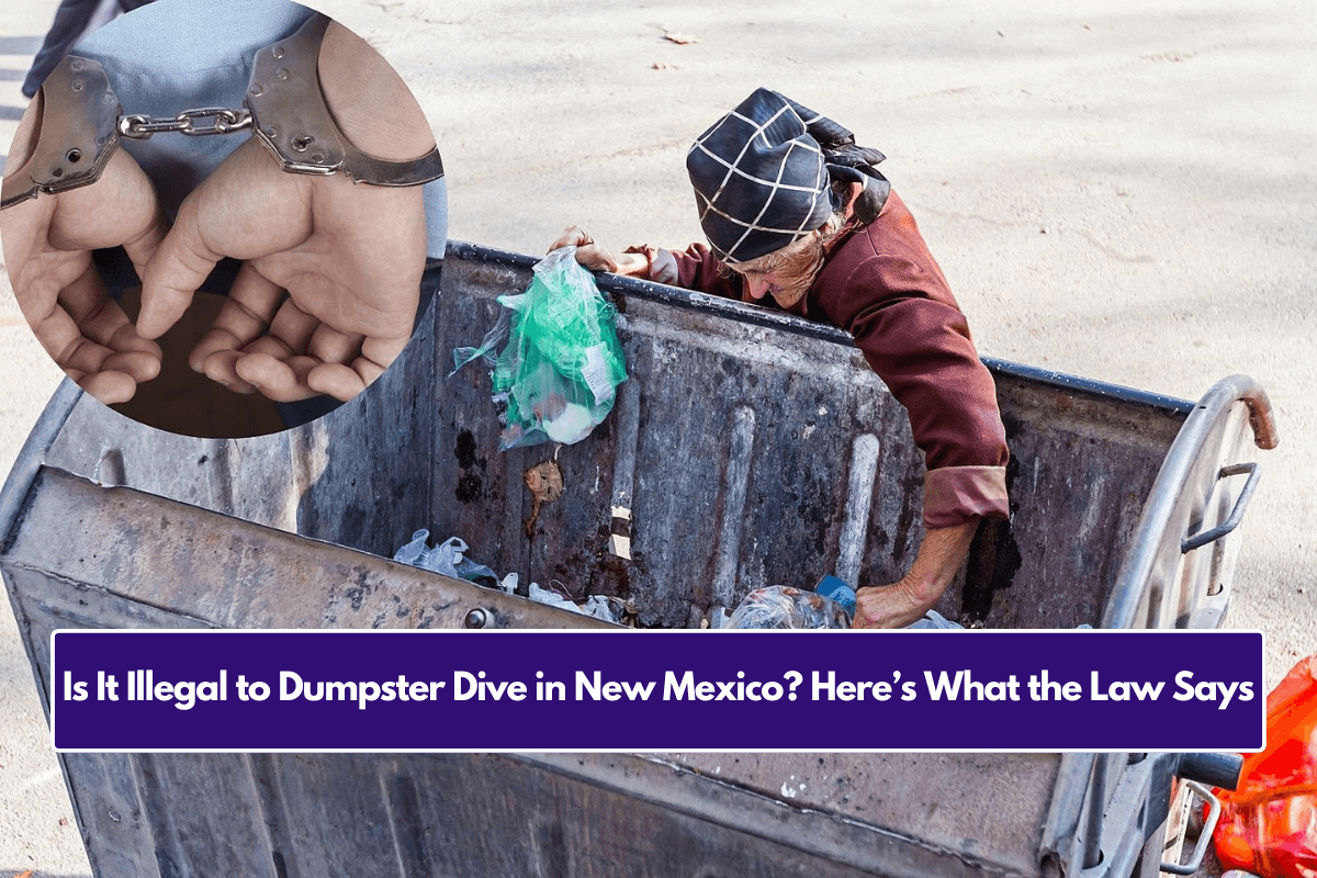 Is It Illegal to Dumpster Dive in New Mexico? Here’s What the Law Says