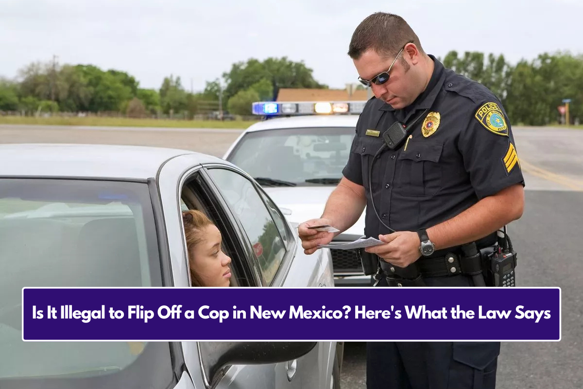 Is It Illegal to Flip Off a Cop in New Mexico? Here's What the Law Says