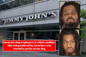 Sandwich shop employee is in critical condition after being battered by coworkers who wanted to pet his service dog