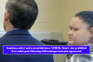 Suspicious odors' and a camel bite leave '1,000-lb. Sisters' star prohibited from safari park following child endangerment plea agreement