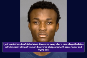 I just wanted her dead': After blood discovered everywhere, man allegedly claims self-defense in killing of woman discovered bludgeoned with space heater and frying pan