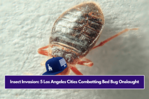 Insect Invasion: 5 Los Angeles Cities Combatting Bed Bug Onslaught