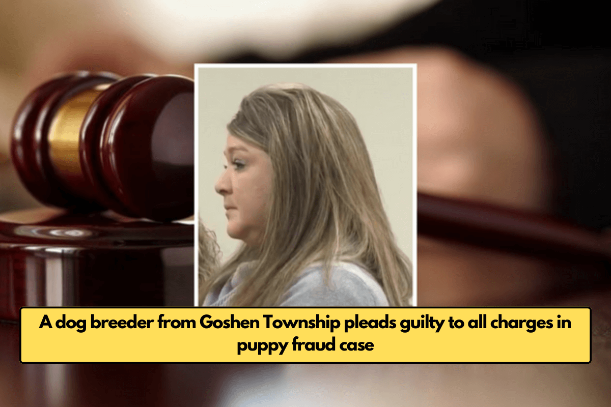 A dog breeder from Goshen Township pleads guilty to all charges in puppy fraud case