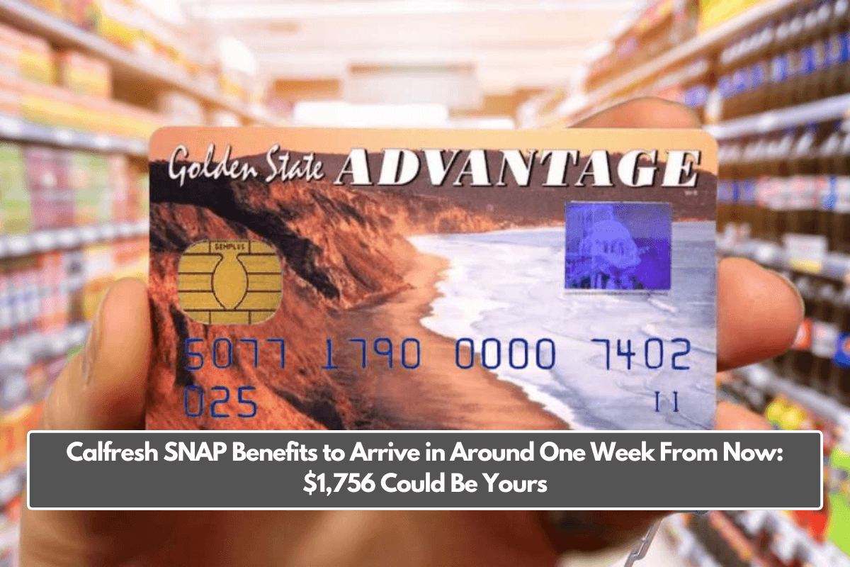 Calfresh SNAP Benefits to Arrive in Around One Week From Now: $1,756 Could Be Yours