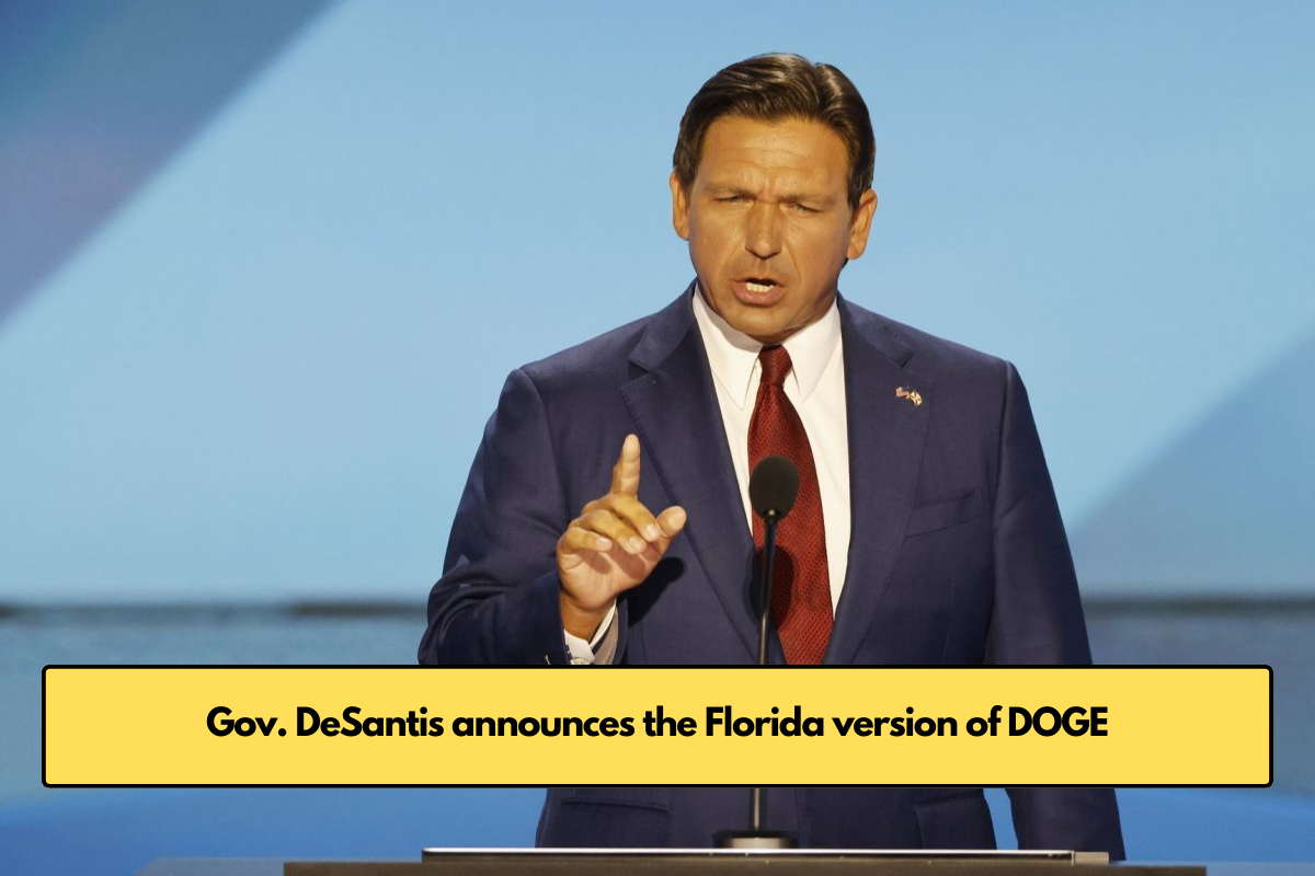 Gov. DeSantis announces the Florida version of DOGE