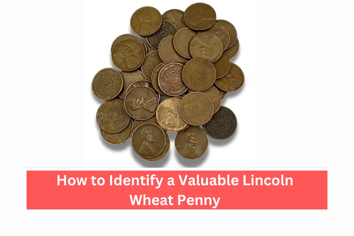 How to Identify a Valuable Lincoln Wheat Penny