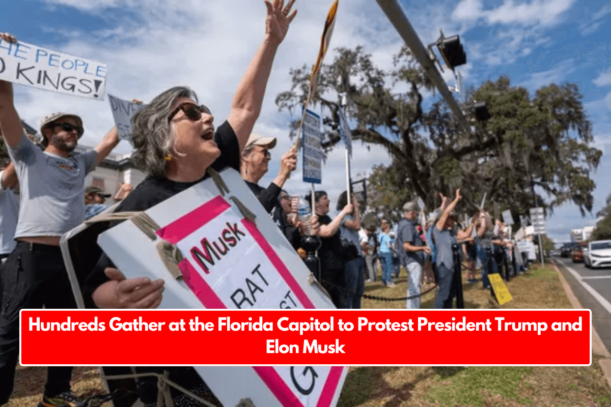 Hundreds Gather at the Florida Capitol to Protest President Trump and Elon Musk