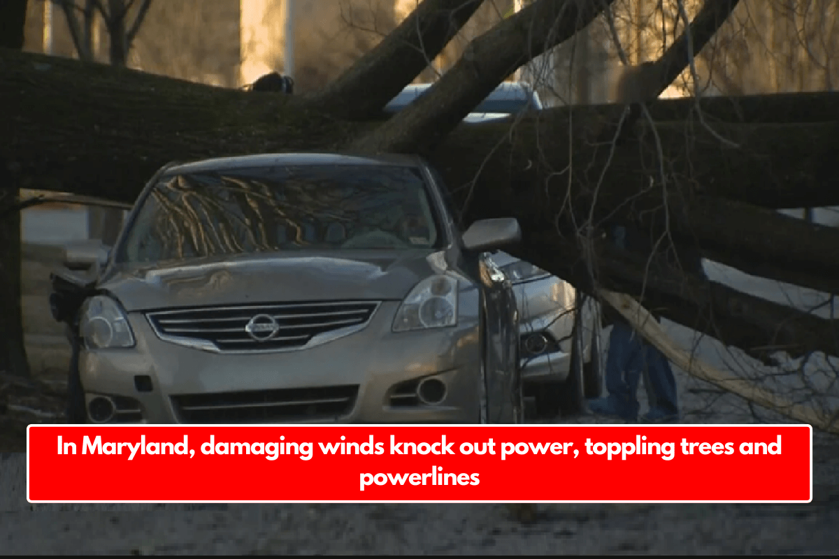 In Maryland, damaging winds knock out power, toppling trees and powerlines