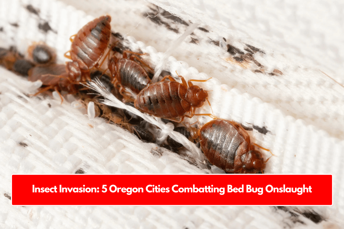 Insect Invasion: 5 Oregon Cities Combatting Bed Bug Onslaught