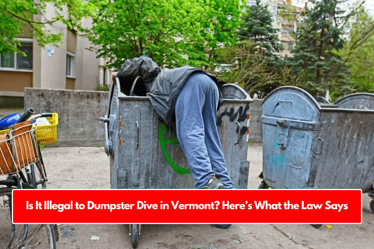 Is It Illegal to Dumpster Dive in Vermont? Here’s What the Law Says