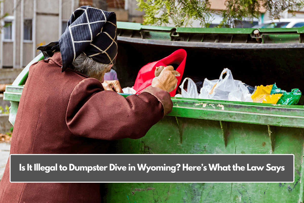 Is It Illegal to Dumpster Dive in Wyoming? Here’s What the Law Says