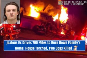 Jealous Ex Drives 700 Miles to Burn Down Family’s Home: House Torched, Two Dogs Killed