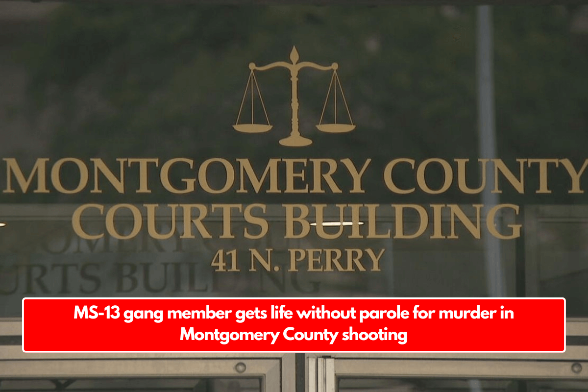 MS-13 gang member gets life without parole for murder in Montgomery County shooting