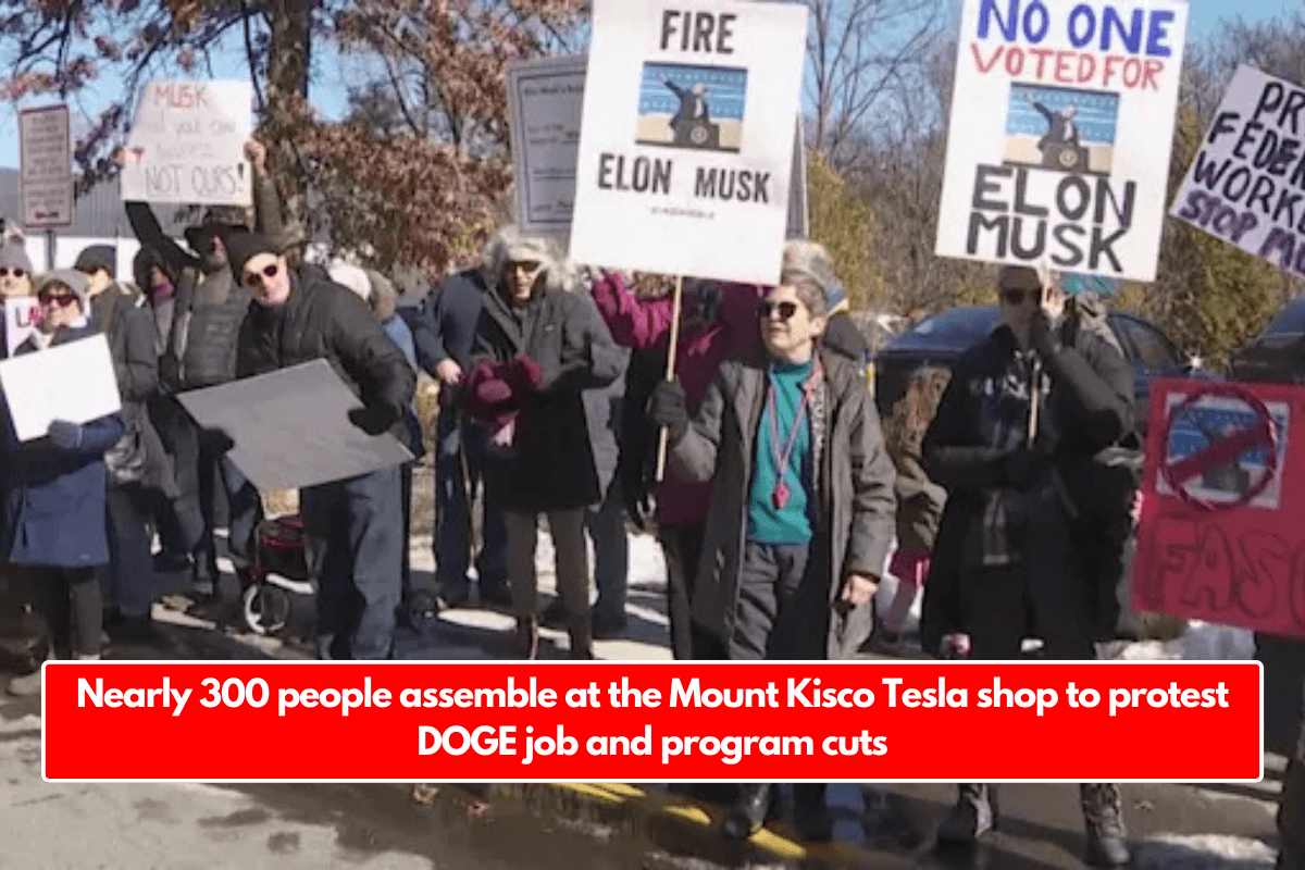 Nearly 300 people assemble at the Mount Kisco Tesla shop to protest DOGE job and program cuts