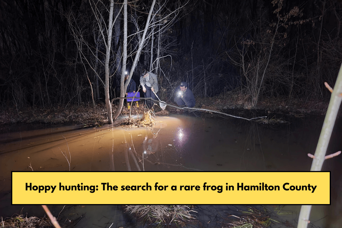 Hoppy hunting: The search for a rare frog in Hamilton County