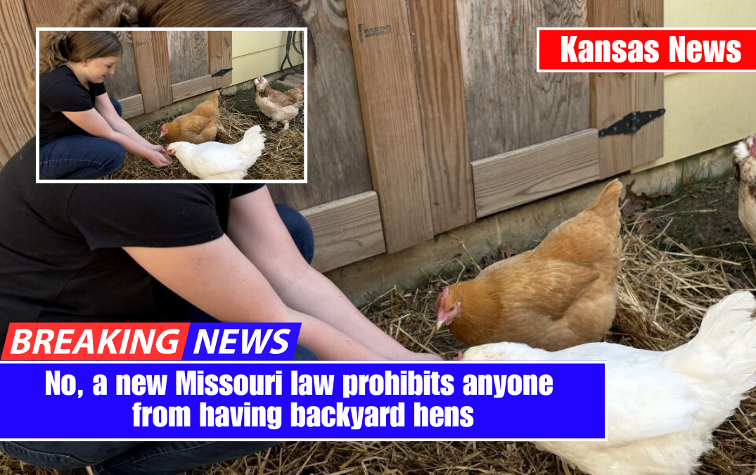 No, a new Missouri law prohibits anyone from having backyard hens