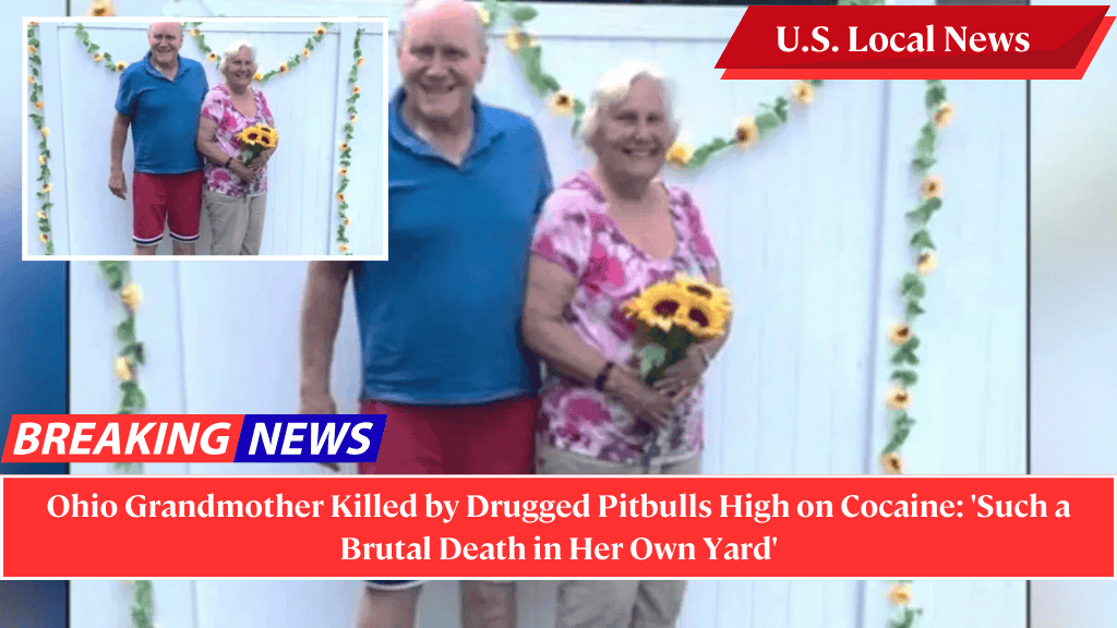 Ohio Grandmother Killed by Drugged Pitbulls High on Cocaine: 'Such a Brutal Death in Her Own Yard'